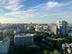 The Rochester Residences (D5), Apartment #629287331
